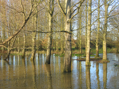 River in flood